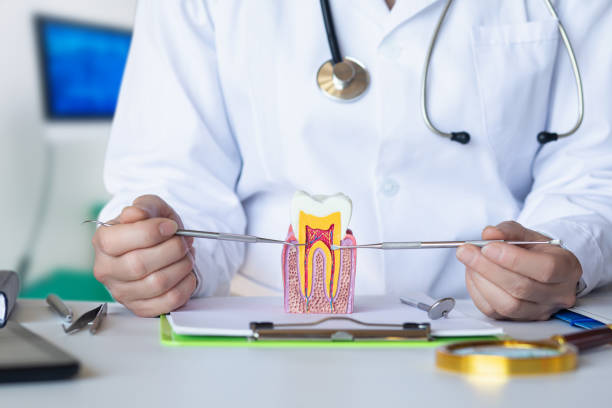 Best Emergency Tooth Extraction in Elkland, PA